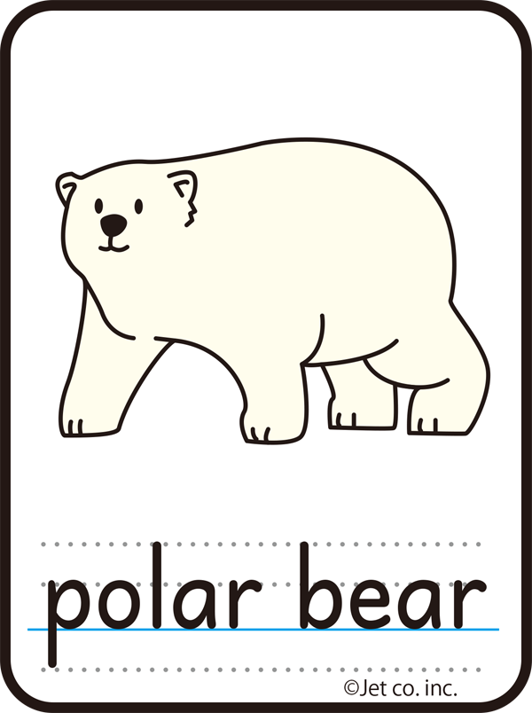 polar bear（シロクマ）